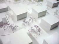 Nachrücker beim Architekturwettbewerb  Wohnbau Breitwiesen/Ipfbach, Asten