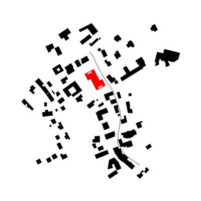 morpho-fuer-web.jpg